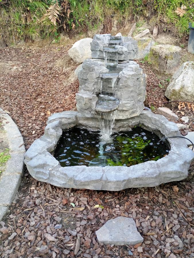 Foodora Lake View Bed & Breakfast Rotorua Zewnętrze zdjęcie